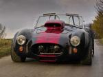 AC Cobra Limited Edition by Weineck 2006 года